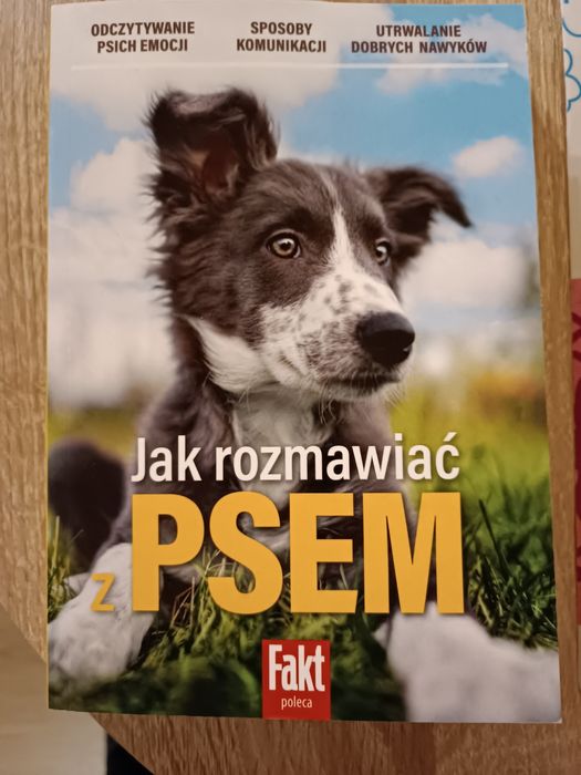 Jak rozmawiać z psem
