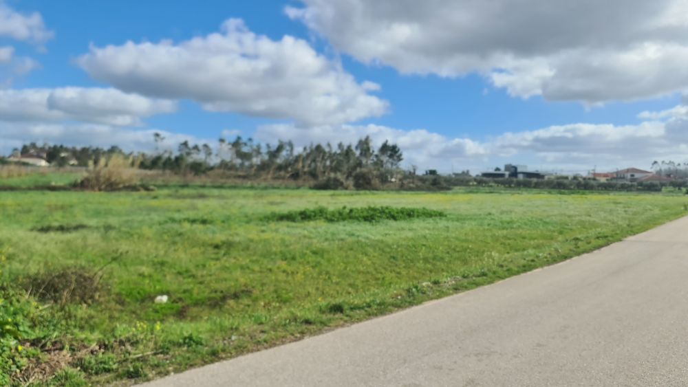 Terreno 7.000m² p/ Construção – Bouça de Cá, Bajouca | Índice 0.5