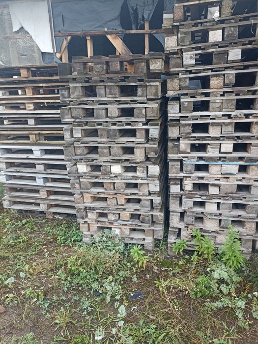 Продам палєти стандартів 0'8*1,2 ; 1,0*1,2. Також є не стандартні.