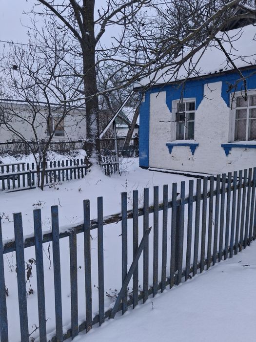 Продається будинок в селі Дмитрушки.