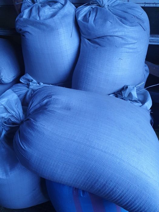 Sprzedam Pszenżyto  z 2025