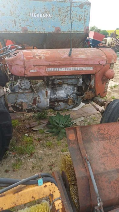 Ferguson  benzyna traktor zabytkowy