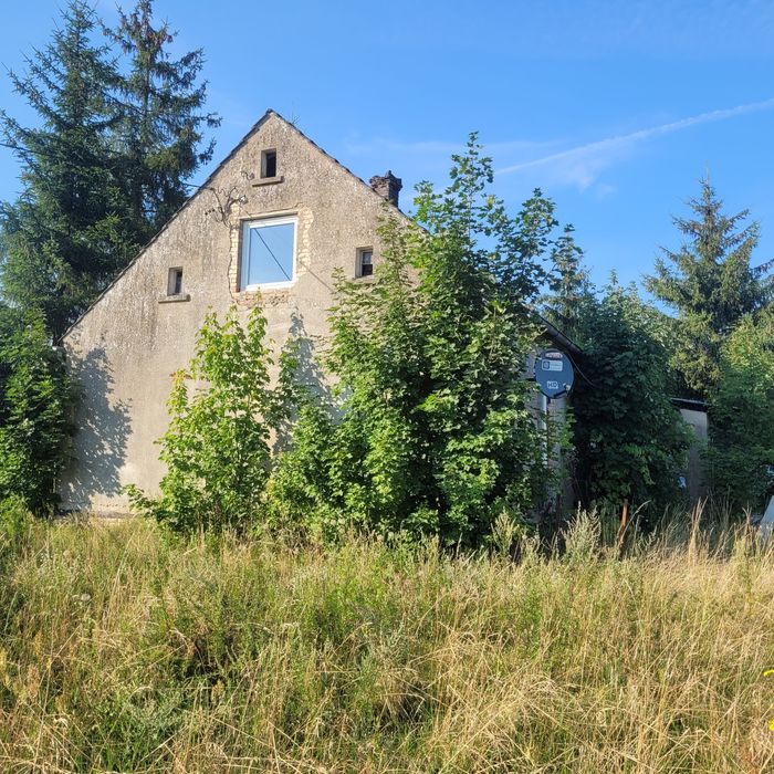 Dom wolnostojacy ok 100m2 działka 22ary Motylewo