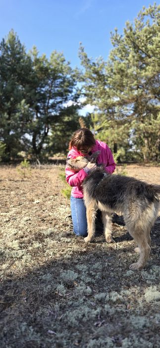 Fragles cudo misio kudłaty szuka chaty