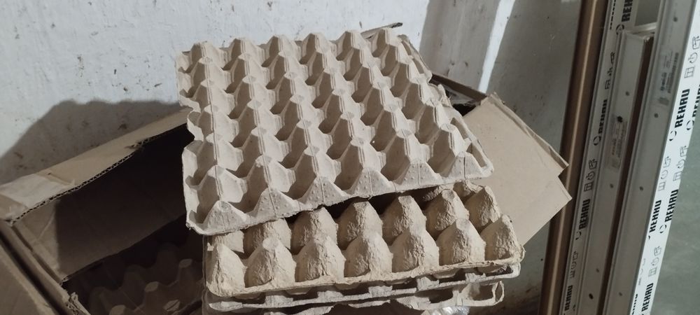 Лотки для курячих яєць.