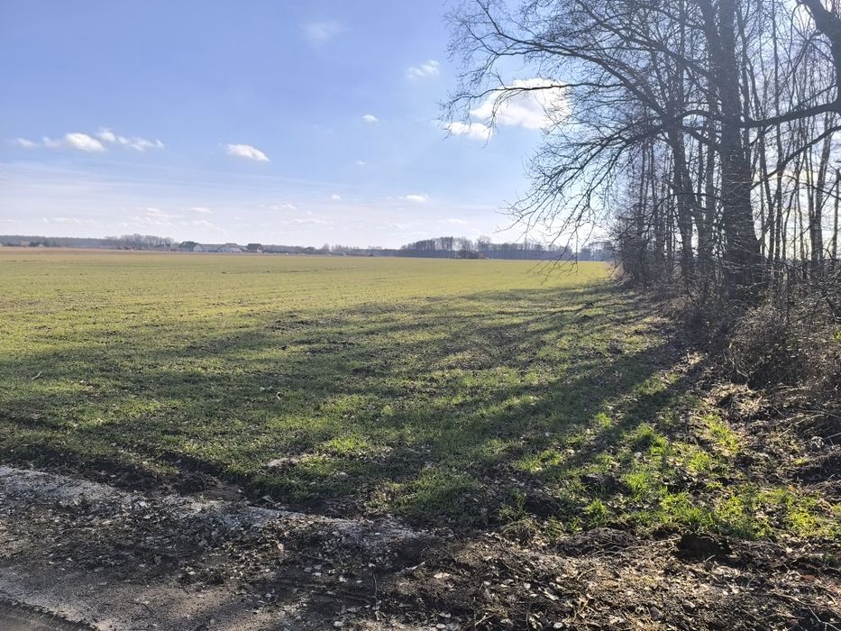 Działka budowlana 3800 m kw. Malanów gm. Lutomiersk