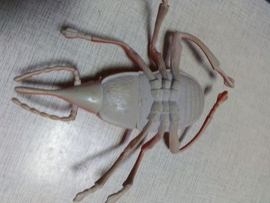 Детские игрушки буу