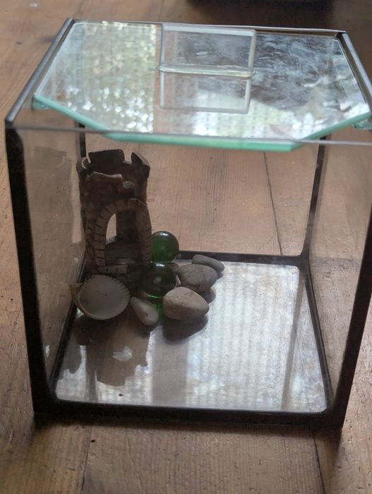 Тераріум, флораріум, акваріум куб