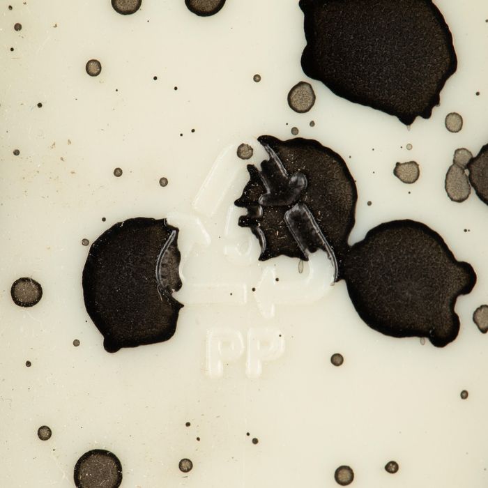 Skate Cruiser Big Yamba 120 Brut