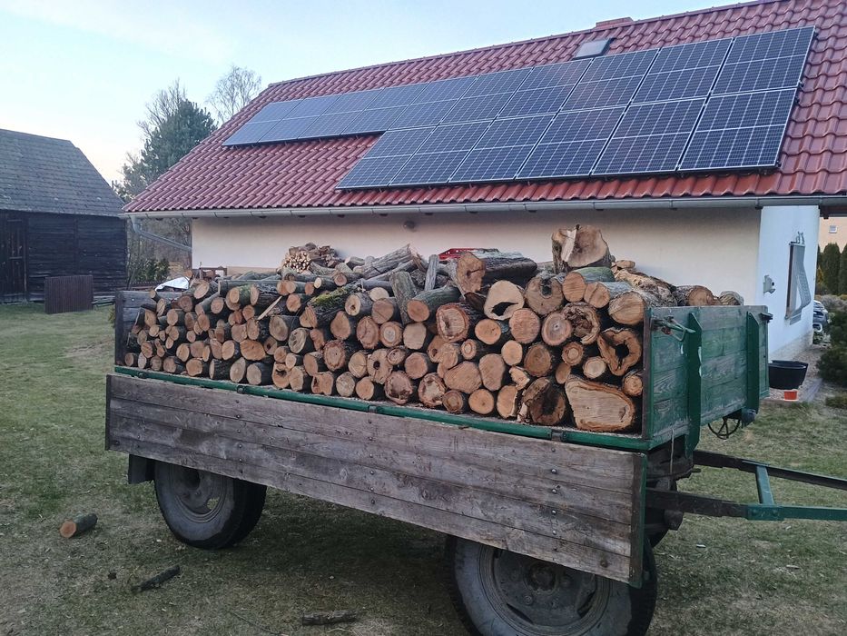 Drewno opałowe -dąb, buk, olcha, brzoza