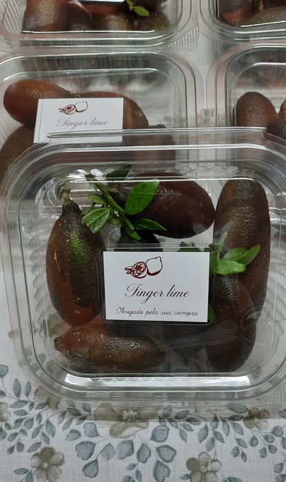 Lima caviar gourmet congelado