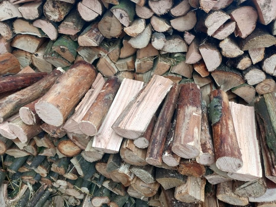 Дрова СуХі та свіжоколоті твердих порід
