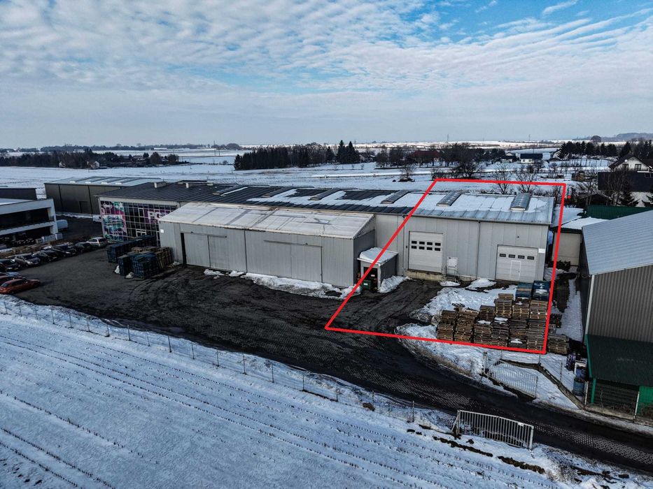 Magazyn Wierzbna 300 m2 wynajem