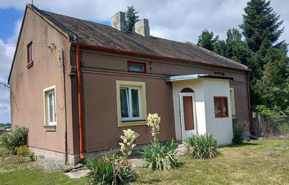 Zdjęcie 8