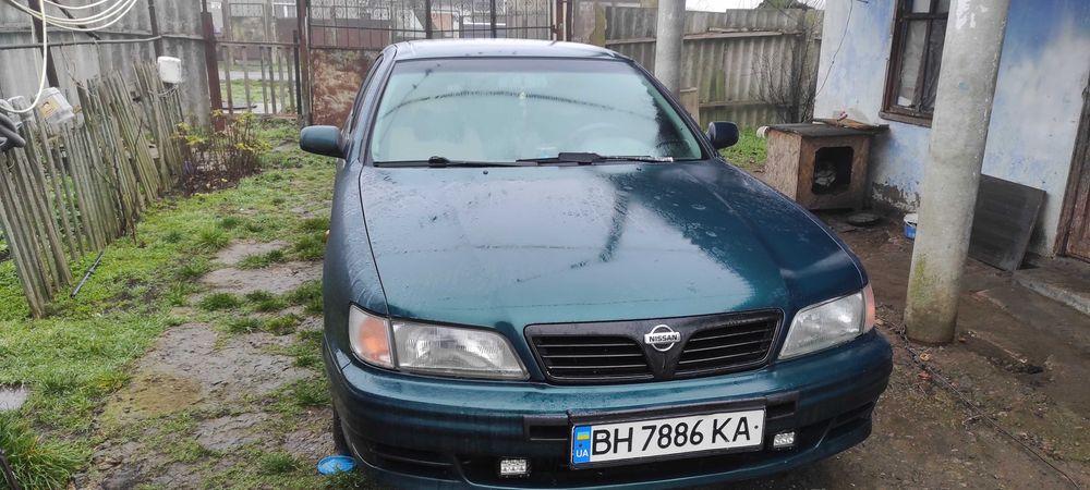 Продам максиму в нормальном состоянии