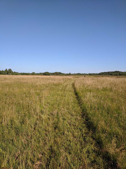 Dzialka budowlana z rozpoczętą budową na terenie Parku Narodowego