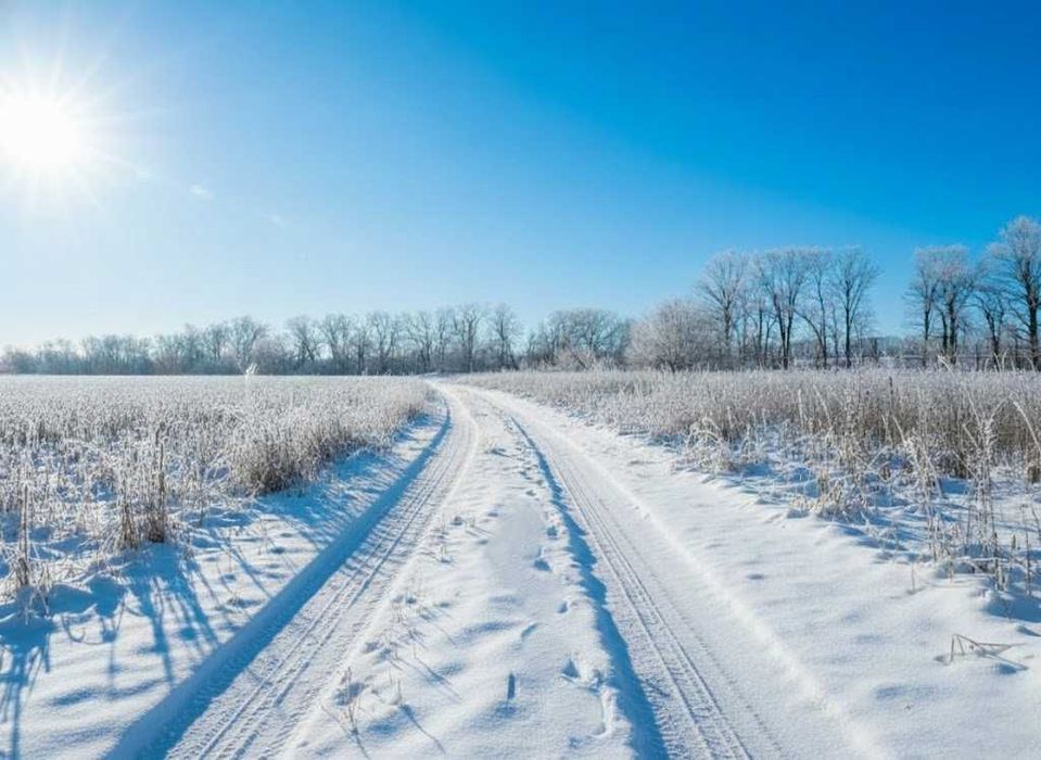 Продаж земельної ділянки 71 сотка - ОСГ. До траси - 100 метрів. ID:608