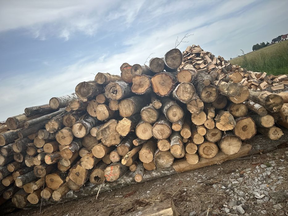 Drewno wałki kominkowe opałowe grube swietna jakosc