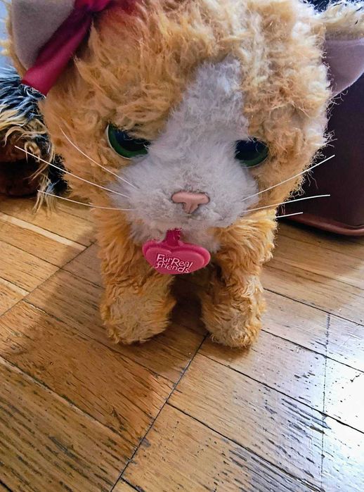 Продам котиків іграшкових