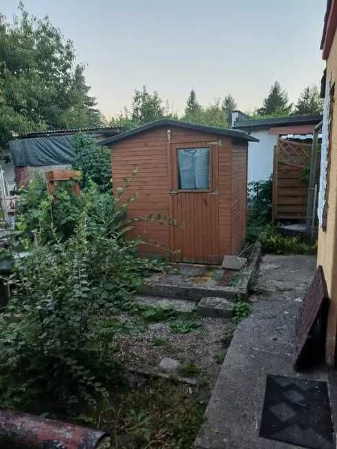 Dzialka ROD im Lotnictwa Polskiego w Poznaniu