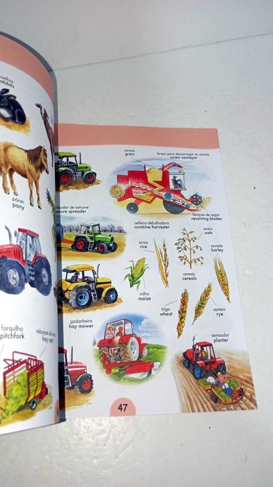 As Minhas Primeiras 1000 Palavras em Inglês