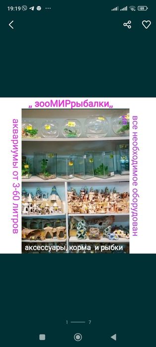 рибки акваріумні гуппі гло , акваріуми