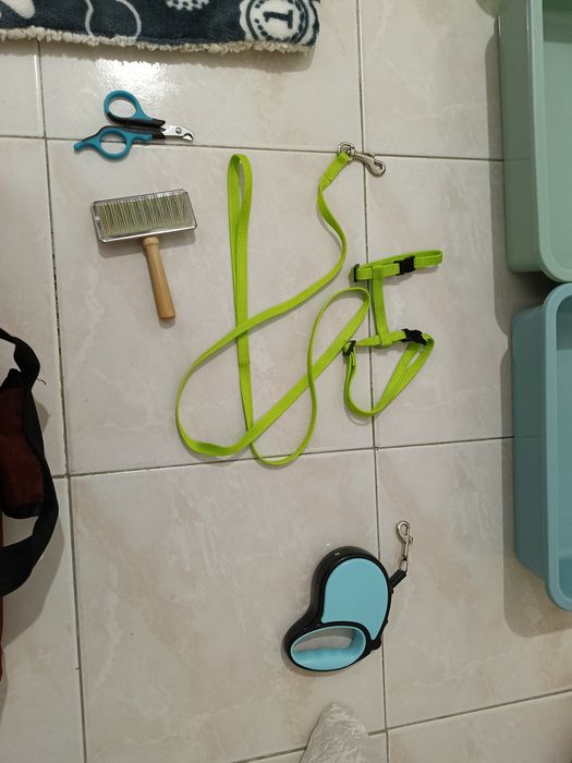 Kit de Acessórios para Coelho – Tudo em Ótimo Estado