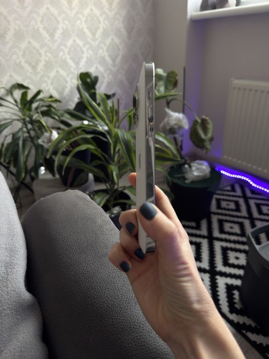 Iphone 13 pro max 256 gb