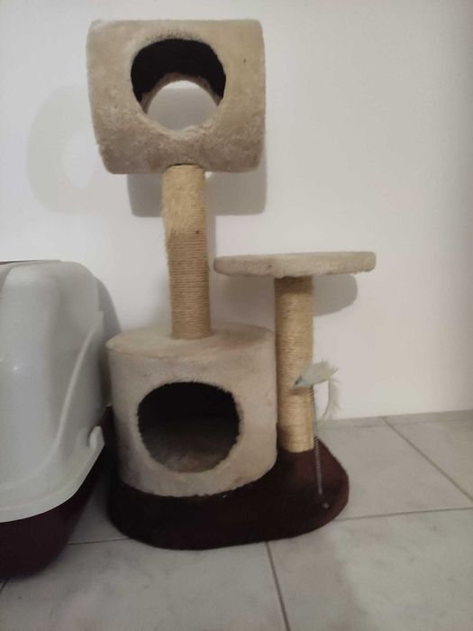 Arranhador, caixa de areia e caixa para gatos
