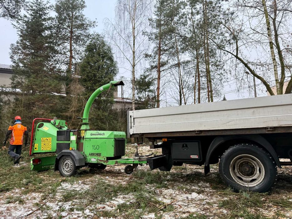 Wycinka drzew, rębakowanie gałęzi, frezowanie pni - Katowice