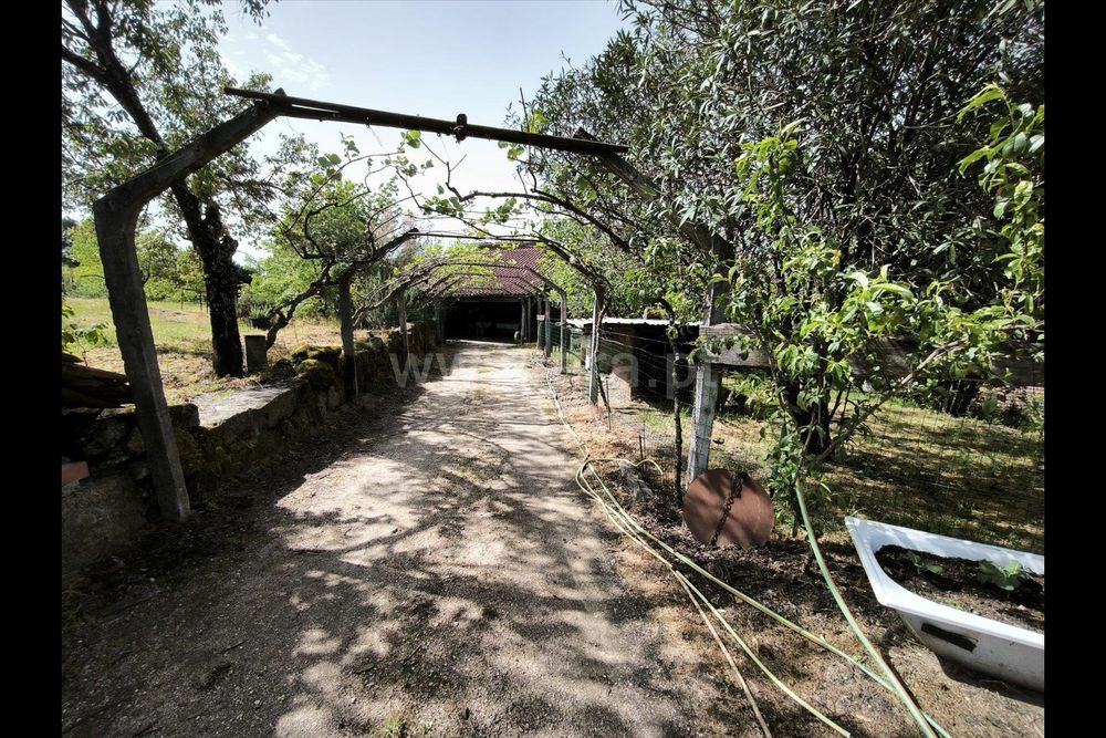 Quinta Rústica Habitável com 4 Hectares + Equipamento Agrícola.

Apres