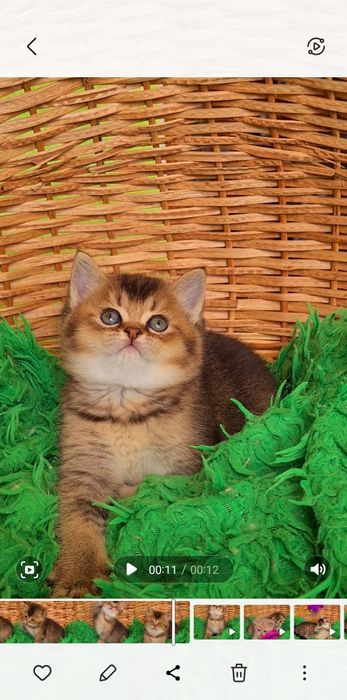 Ооочень красивая и ласковая