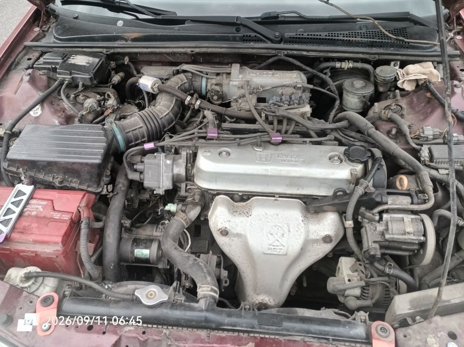 Honda   Accord   V