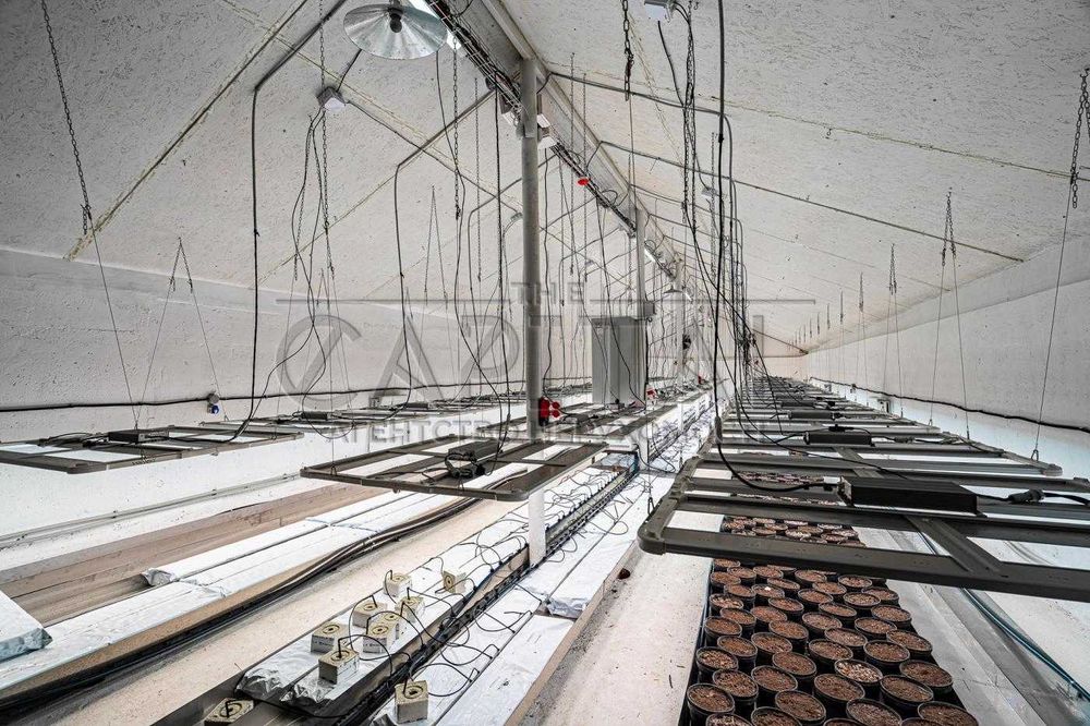 Продажа фермы, с. Русанов, Броварской р-н