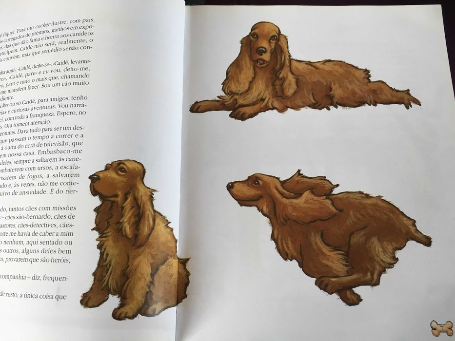 Livro "As aventuras de Caidé e O gato que queria ser rei"