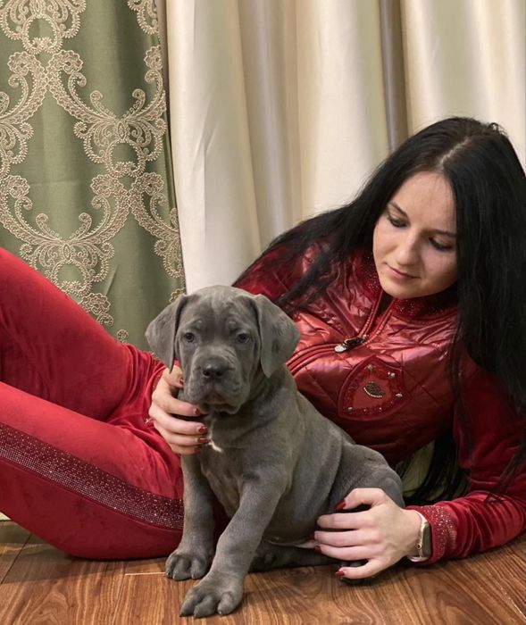 Онуки  Хамера  Київського-чемпіона цілого світу