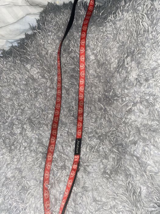 Smycz dla psa  amiplay