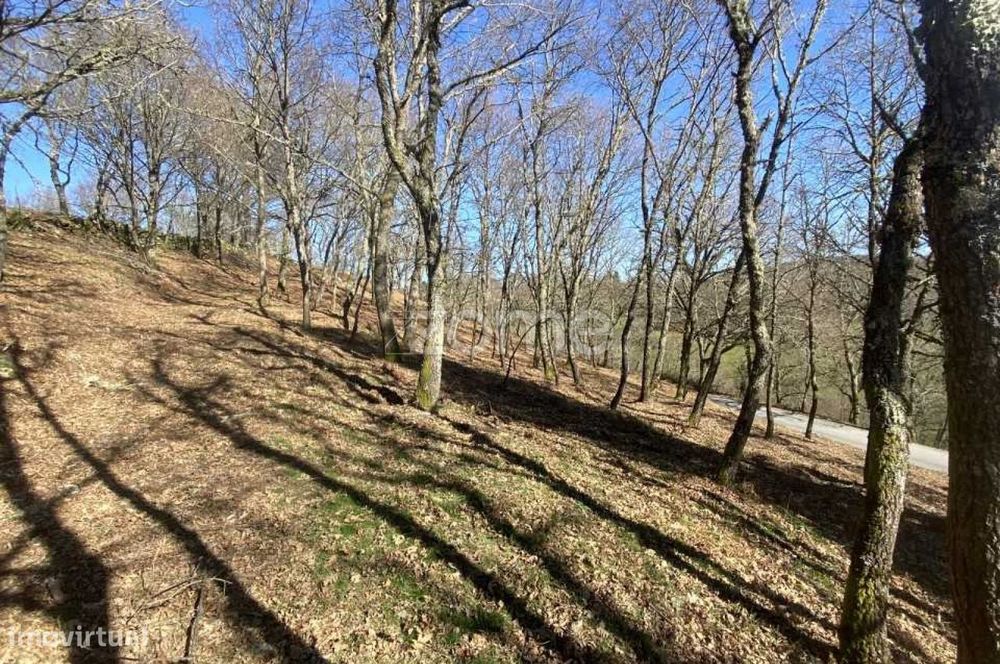 Terreno para venda em Linharelhos, Salto, Montalegre