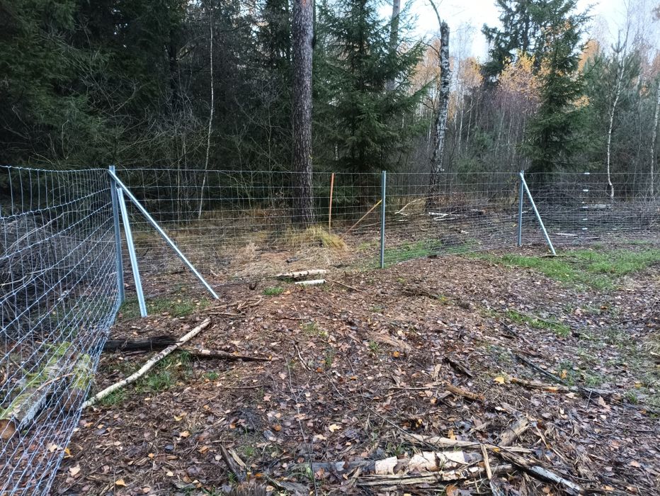 Ogrodzenie systemowe, tymczasowe ,budowlane, leśne ,siatka leśna