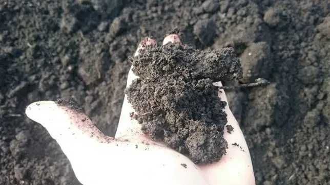 Czarnoziem, ziemia ogrodowa przesiewana, torf, pod trawniki, warzywa