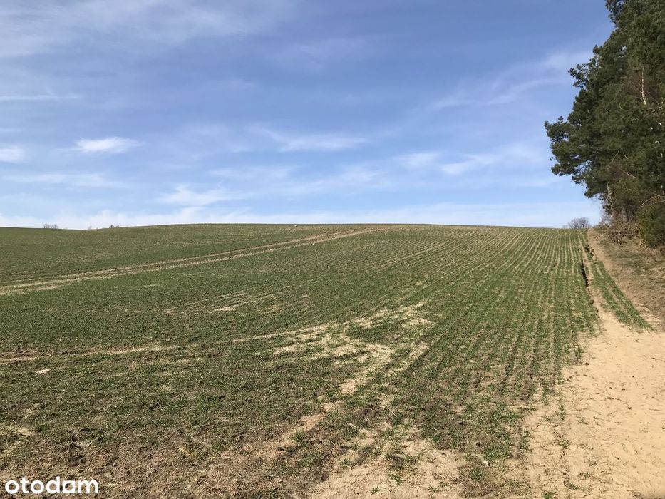 Działka rolna Dąbrówno - View 2