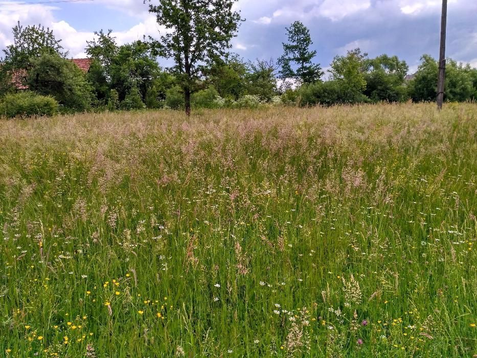 Земельна ділянка під будівництво