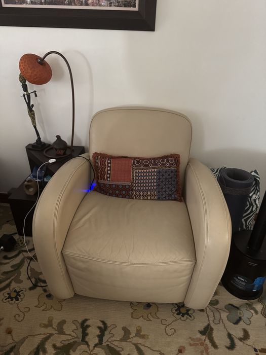 Sofa e poltrona em pele