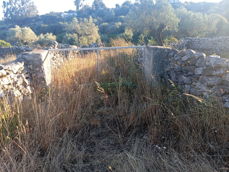 Limpeza de terrenos