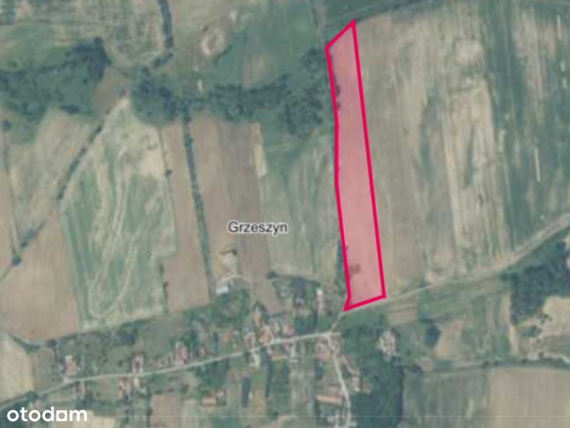 Działka siedliskowa | WZ bezterminowe | Grzeszyn, gm. Wińsko
