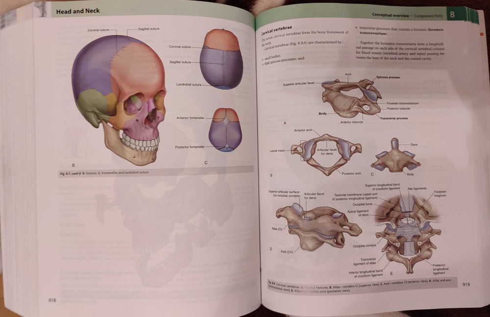 терміново. продам Підручник анатомія Грея. Gray’s anatomy