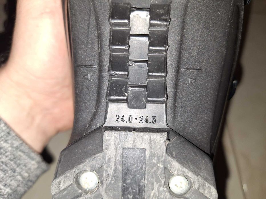 Buty narciarskie 24-24,5 (odpowiada 37) mało używane