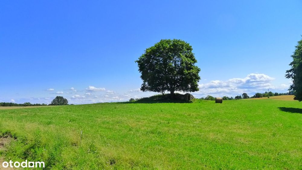 Suwałki - działki budowlane nad jeziorem