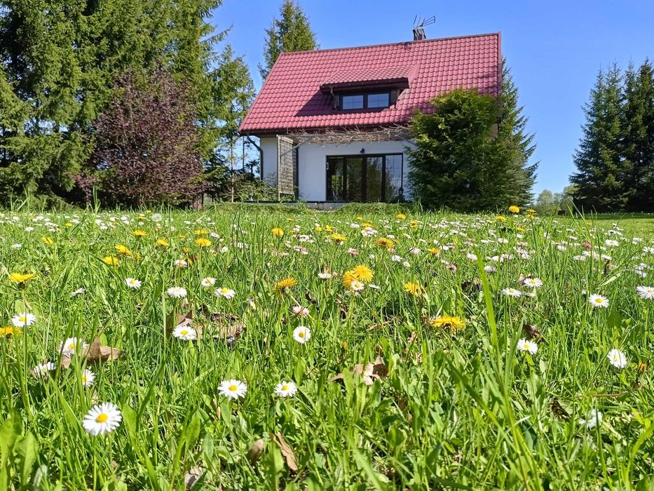 Domek na Mazurach