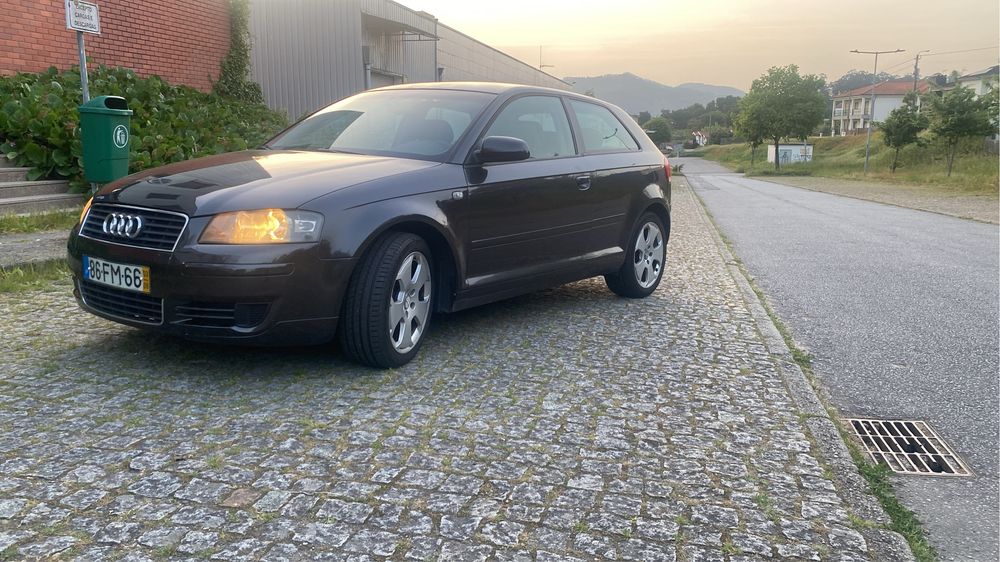 Audi A3 8P 1.9TDI